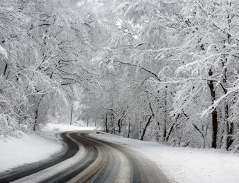 Snow Fall In Roma